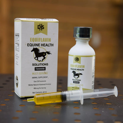 Horse Mobility Supplement – Natural Oral Comfort & Wellness Support