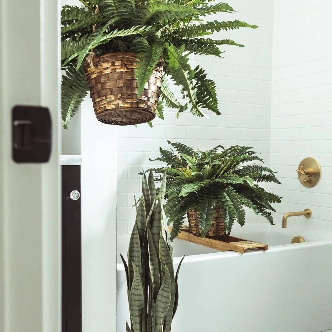 Artificial Hanging Fern Basket – Lush Home & Porch Decor
