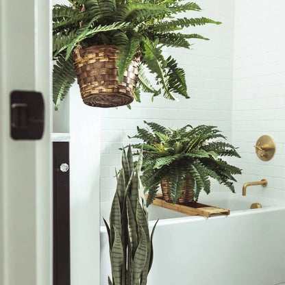 Artificial Hanging Fern Basket – Lush Home & Porch Decor