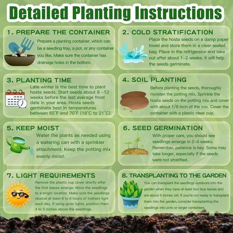 🌱Hosta Perennial Shade Plant for Garden & Landscape Decor