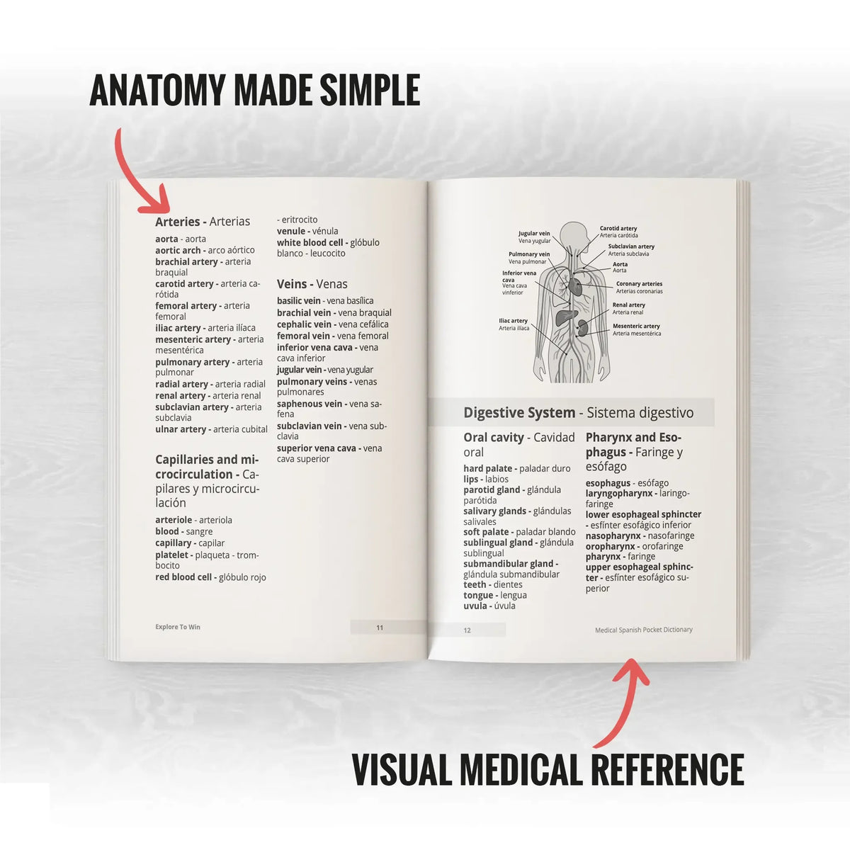 Medical Spanish Visual Pocket Dictionary – 5,000 Terms for Healthcare Professionals & Students