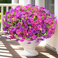 Purple+Rose Pink