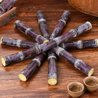 Sugarcane Collection – Purple Cane & Yellow Cane Varieties for Home Growing