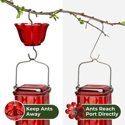 Hummingbird Feeder for Outdoor Hanging – 24oz, 6 Feeding Ports, Ant Moat Included