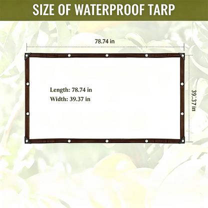 Heavy Duty Clear Waterproof PE Tarp – Transparent Outdoor Cover with Metal Grommets