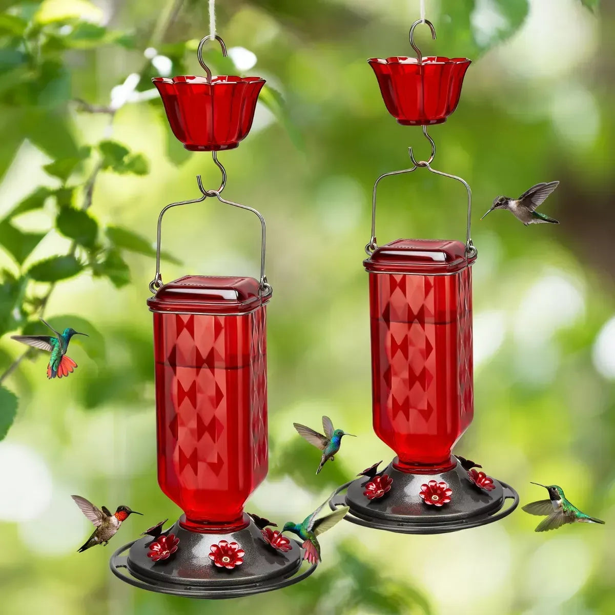 Hummingbird Feeder for Outdoor Hanging – 24oz, 6 Feeding Ports, Ant Moat Included