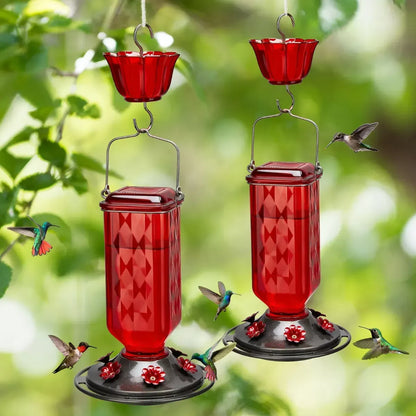 Hummingbird Feeder for Outdoor Hanging – 24oz, 6 Feeding Ports, Ant Moat Included