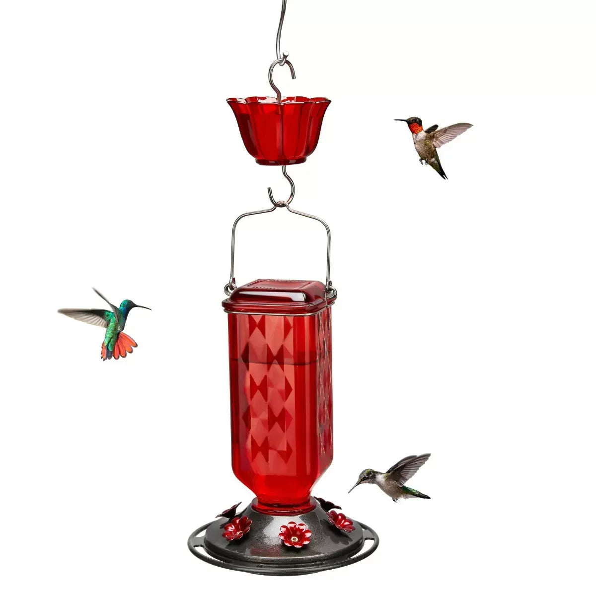 Hummingbird Feeder for Outdoor Hanging – 24oz, 6 Feeding Ports, Ant Moat Included