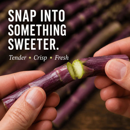 Purple Passion Asparagus Plants – Perennial Garden Favorite, Sweet & Tender Spears