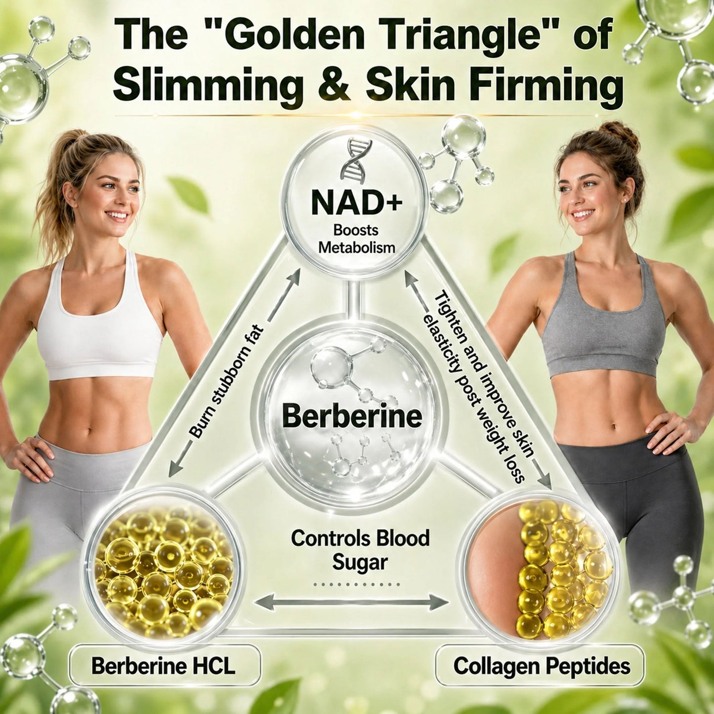 Berberine 10-in-1 Micro-Tip Wellness Patch – Advanced Transdermal Support