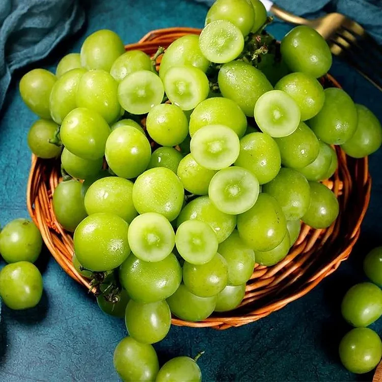 Sapphire Grapes Growing Kit – Grow Rare Finger Grapes at Home