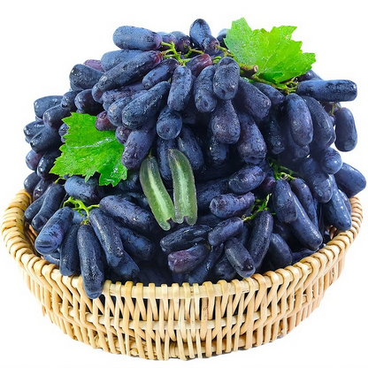 Sapphire Grapes Growing Kit – Grow Rare Finger Grapes at Home