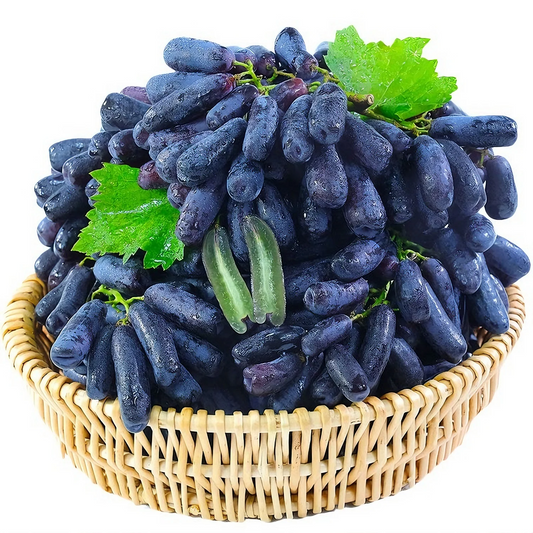 Sapphire Grapes Growing Kit – Grow Rare Finger Grapes at Home