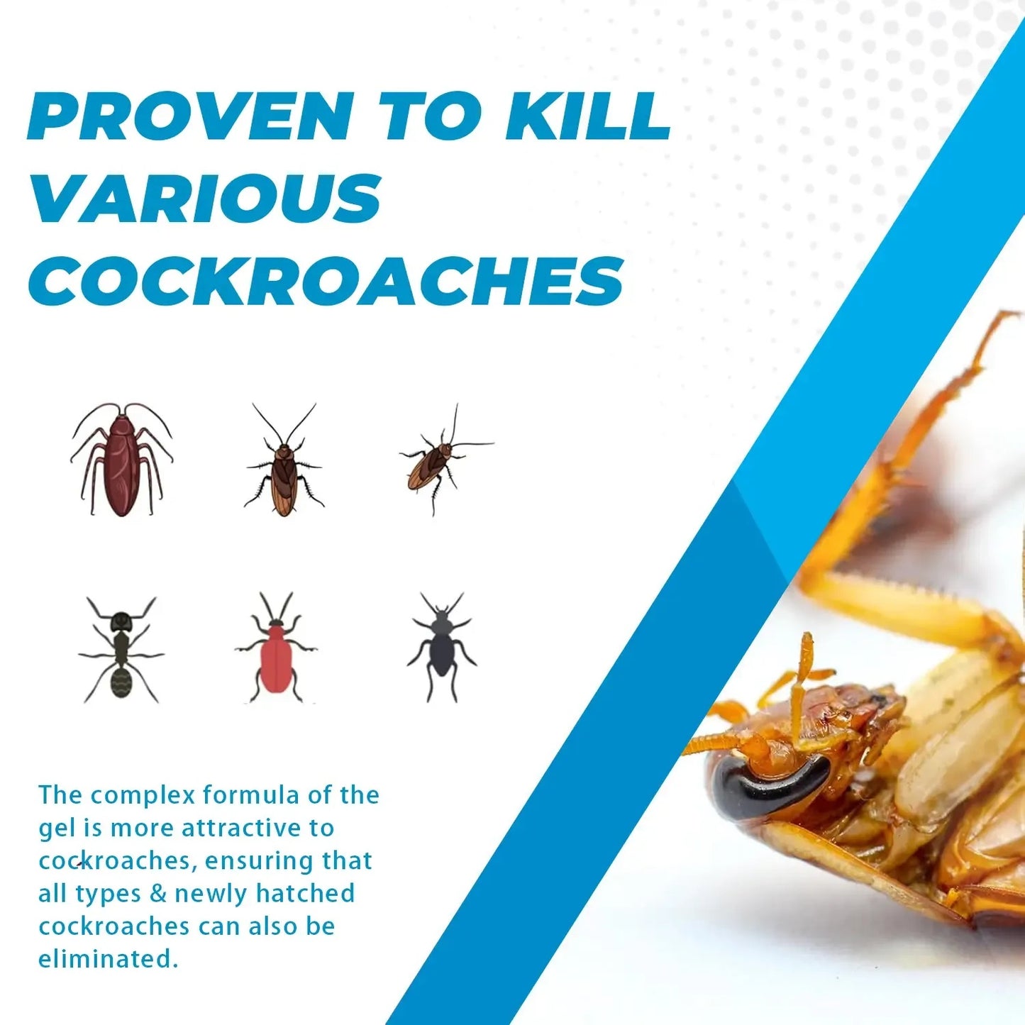 Professional Roach Bait Gel – Kill the Colony, Not Just the Roach