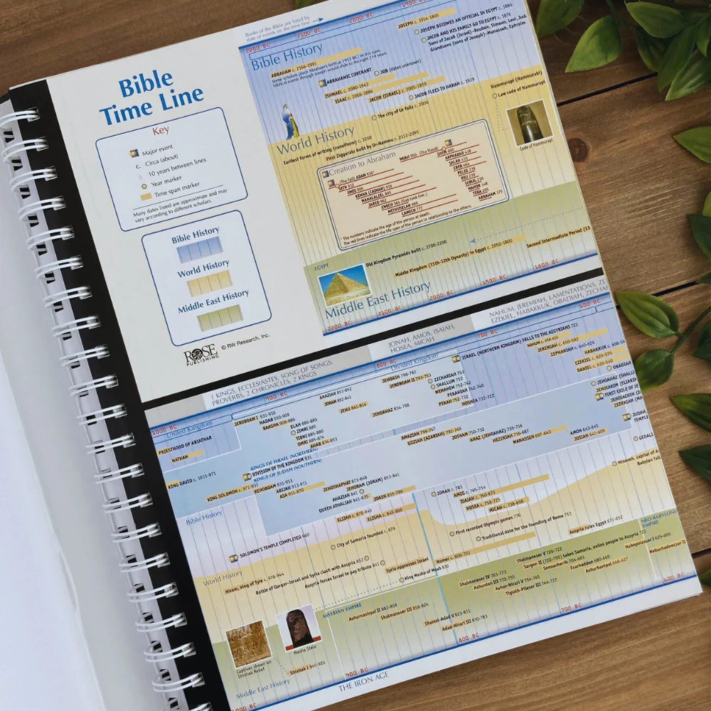 Rose Book of Bible Charts, Maps and Time Lines: All-in-One Visual Resource