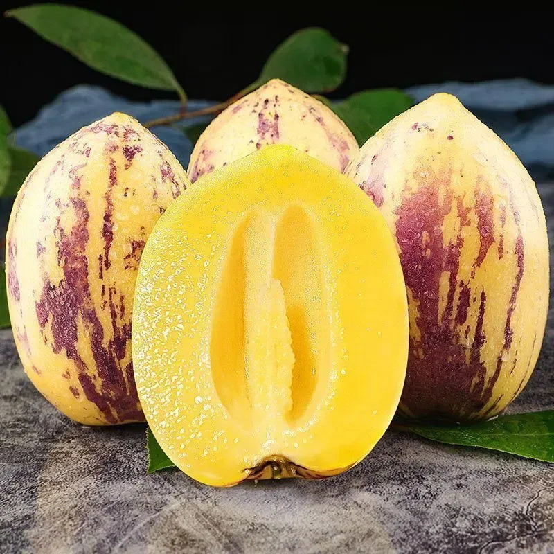 Pepino Melon Growing Kit – Exotic Sweet Fruit Plant