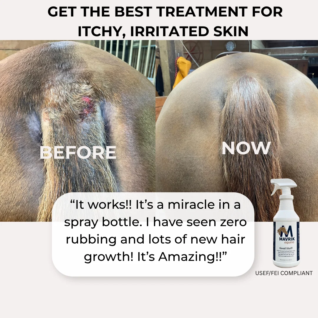 Natural Horse Spray for Skin, Coat & Hoof Care – 3-in-1 Botanical Formula