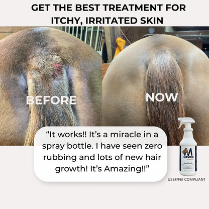 Natural Horse Spray for Skin, Coat & Hoof Care – 3-in-1 Botanical Formula