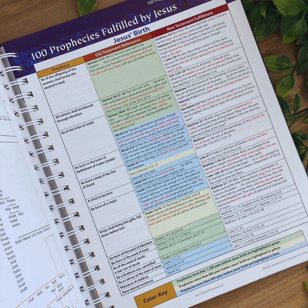 Rose Book of Bible Charts, Maps and Time Lines: All-in-One Visual Resource