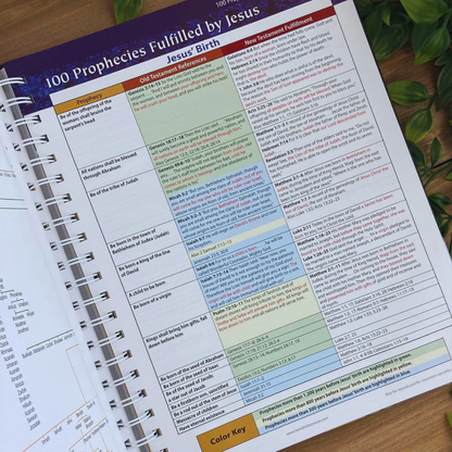 Rose Book of Bible Charts, Maps and Time Lines: All-in-One Visual Resource