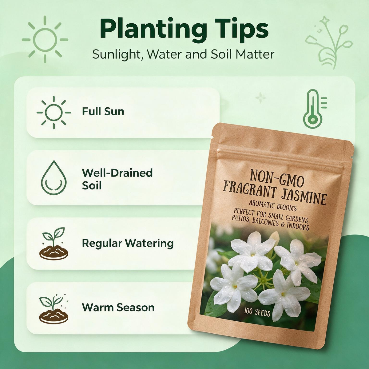 Non-GMO Fragrant Jasmine – Aromatic Blooms for Small Gardens, Patios, Balconies & Indoor