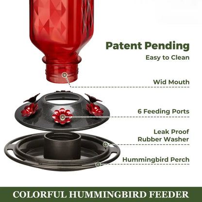 Hummingbird Feeder for Outdoor Hanging – 24oz, 6 Feeding Ports, Ant Moat Included