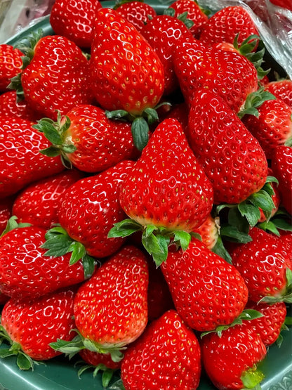Sweet Dreamland Cream Strawberry For Planting